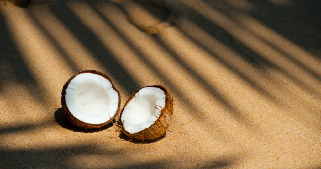 kokosriekstu piens